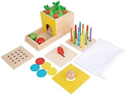 Adena Montessori 5 in 1 Wooden Montessori Play Kit Baby ToysObject Permanence BoxMatchstick Color DropCotton Swab Drop GameCarrot Harvest and Coin Box for Kid 1 Year OldGift for Baby 6-12 Month