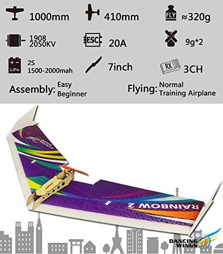 DW Hobby EPP Electric Micro Flying Wing Rainbow ZAGI Plane w/1000mm Wingspan Delta Wing Tail-Pusher Flying Aircraft for Toy Plane Model Aeroplane to Build (E0604)