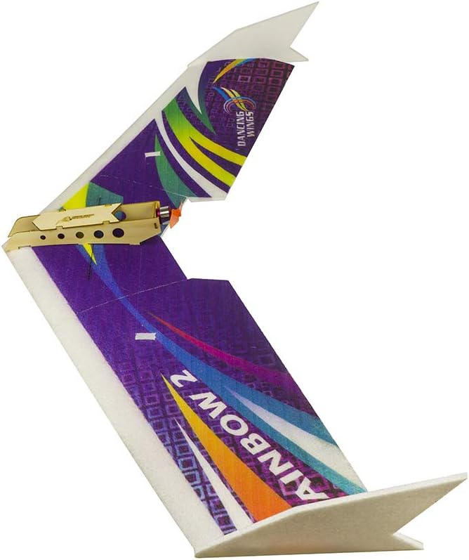 DW Hobby EPP Electric Micro Flying Wing Rainbow ZAGI Plane w/1000mm Wingspan Delta Wing Tail-Pusher Flying Aircraft for Toy Plane Model Aeroplane to Build (E0604)