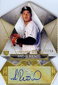 Sports Memorabilia Autograph Warehouse 291491 2014 Topps Supreme Styling Andre Rienzo Autographed Baseball Card - Chicago White Sox