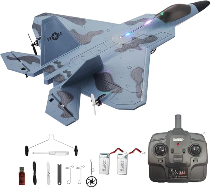 RC Plane F22 Raptor Model 4CH 3D/6G RC Airplane for Adults and Beginners 2.4Ghz RC Jet with LED Light Ready to Fly Outdoor Remote Control Airplane with 2 Batteries
