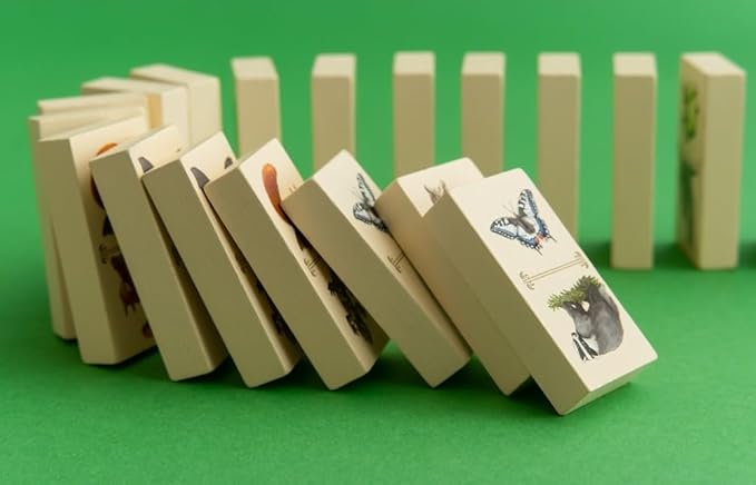 Capstone Games: Renature Strategy Board Game Transform The Polluted Valley Into a Thriving Ecosystem Easy to Follow Rules Ages 14 and Up