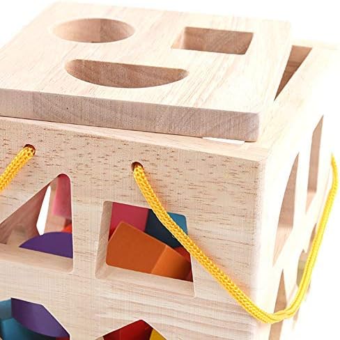 QZMTOY Shape Sorter Toys with 19 Shape Blocks Classic Wooden Toys for Toddlers Kids Gift for Girls Boys 2-4 (Natural Solid Wood)