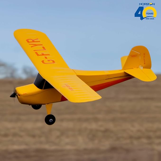 HobbyZone Champ Anniversary Special Edition 515mm BNF Basic with Safe Select HBZ04950
