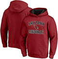 Outerstuff NFL Kids Youth 4-20 Officially Licensed City Wide Team Logo Pullover Hoodie Sweatshirt