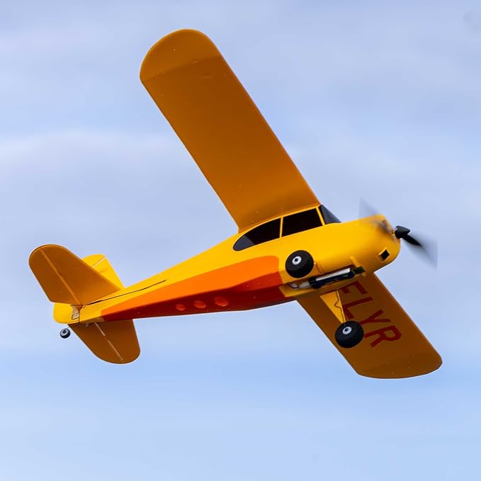 HobbyZone Champ Anniversary Special Edition 515mm BNF Basic with Safe Select HBZ04950