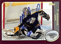 Sports Memorabilia Autograph Warehouse 224139 Mike Dunham Autographed Hockey Card - Nashville Predators 2002 Topps - No. 195