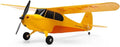 HobbyZone Champ Anniversary Special Edition 515mm BNF Basic with Safe Select HBZ04950