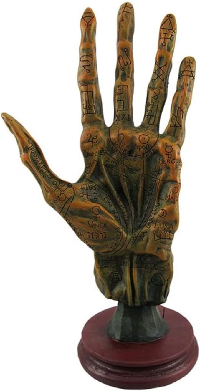 Alchemy Mummified Palmistry Hand Gothic