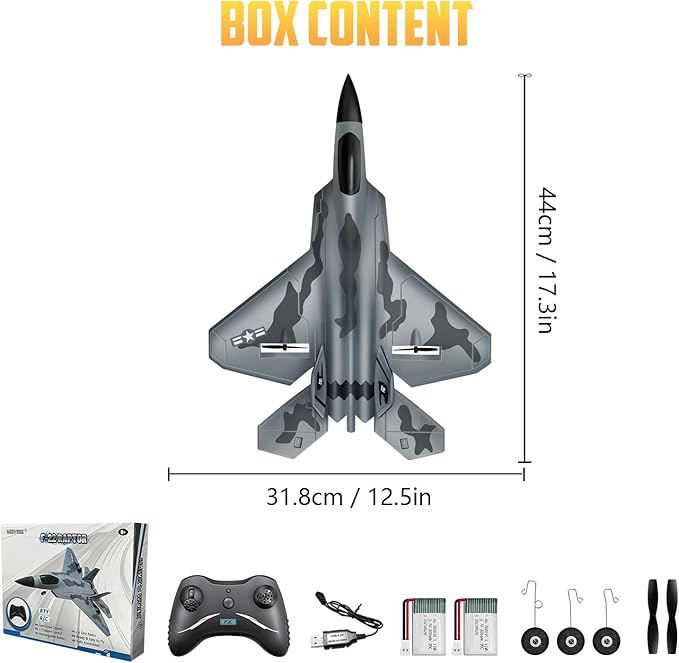 HAWK'S WORK 2 CH RC Airplane F-22 Plane Ready to Fly 2.4GHz Remote Control Easy to Fly RC Glider for Kids &amp Beginners