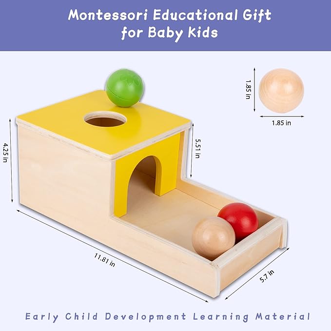 Adena Montessori 4 in 1 Wooden Play Kit Baby ToysObject Permanence BoxMatchstick Color Drop GameCarrot Harvest and Coin BoxBall Drop Toy for Kid 123 Year OldGirl Boy Gift for Baby 6-12 Month