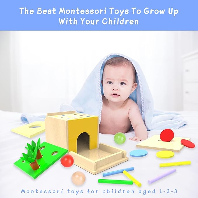 Adena Montessori 5 in 1 Wooden Montessori Play Kit Baby ToysObject Permanence BoxMatchstick Color DropCotton Swab Drop GameCarrot Harvest and Coin Box for Kid 1 Year OldGift for Baby 6-12 Month