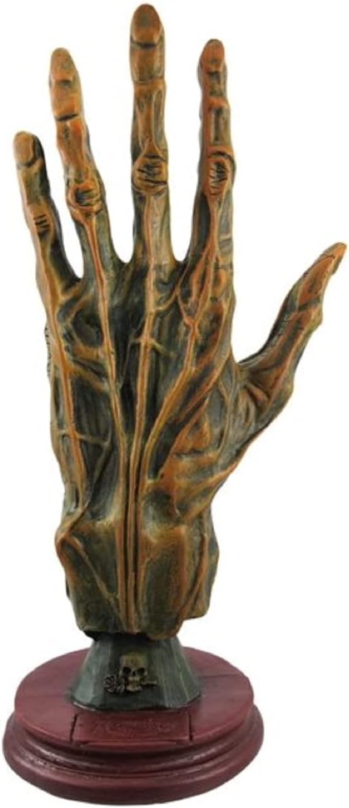 Alchemy Mummified Palmistry Hand Gothic