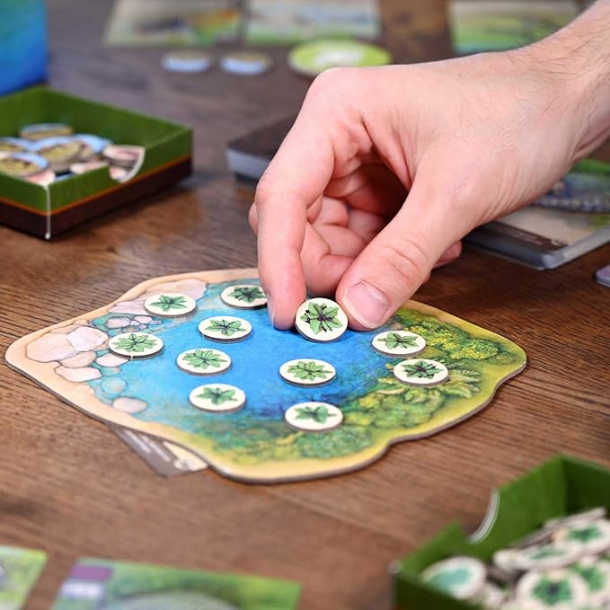 Northstar Game Studio Nature Board Game | Adapt in a Changing Environment in This Strategy Game for Adults Teens. Families and Solo | 1-4 Players Age 10+