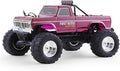 FMS 1/10 RC Truck Ford F100 – 2WD Monster Truck with Licensed Body 550 Brushed Motor Oil Shocks Independent Suspension – All-Terrain RC Crawler High Speed Off-Road RC Car for gift (FIRST BLOOD RS)