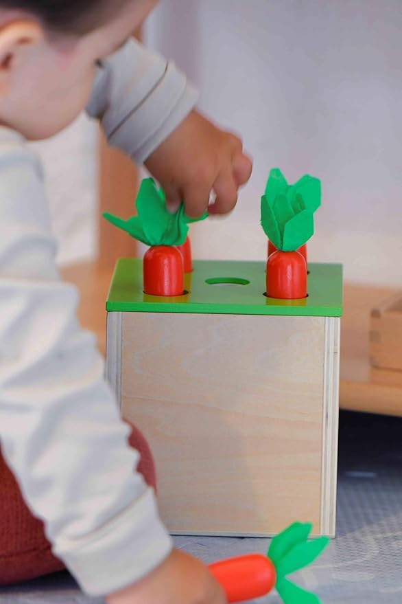 Adena Montessori 3 for 1 Wooden Montessori Play Kit Baby Toysincludes Matchstick Color Drop GameCarrot Harvest Game and Coin BoxLearning Toy for Kid 123 Year OldGirl Boy Gift for Baby 6-12 Month