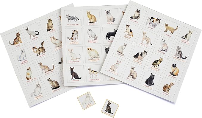 Laurence King Cat Bingo
