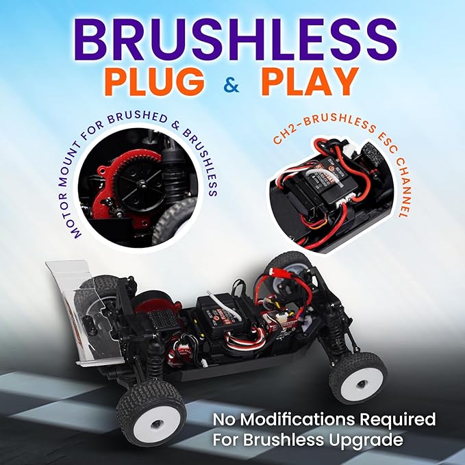 HOBBYPLUS Speck B 1/24 2WD Mini RC Car - RTR RC Buggy Fast Mini Racing Buggy Brushless Ready with Oil-Filled Shocks – Fun Indoor Remote Control Car Racing Vehicles for Adults (Razor Orange)