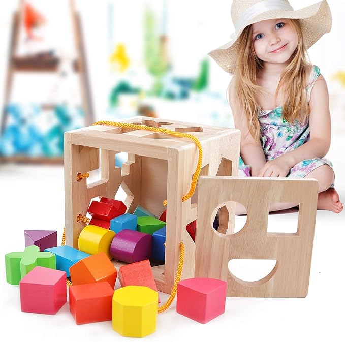 QZMTOY Shape Sorter Toys with 19 Shape Blocks Classic Wooden Toys for Toddlers Kids Gift for Girls Boys 2-4 (Natural Solid Wood)