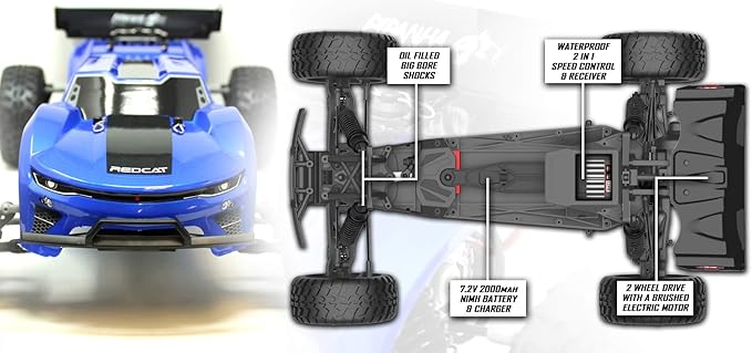Redcat Racing Piranha-TR-10 Piranha Tr10 Truggy Blue