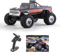 FMS 1/10 Ford F-100 RC Monster Truck RC Crawler RTR 2WD Off-Road Truck with Wheelie Bar High-Torque Motor Hobby Grade Remote Control Car for Adults Black