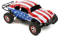 SummitLink Custom Body Flag Strip Style Compatible for 1/10 Scale RC Car or Truck (Truck not Included) SSB-FP-01