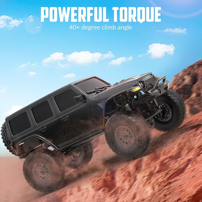 RACENT 1/24 RC Crawler 4WD Off Road All Terrain RC Monster Truck Rock Climbing with led Light Waterproof Hobby Grade Toys with 2 Batteries for Adults (Black)