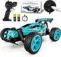 Tecnock RC Cars Remote Control Car for Kids 1:18 Scale 20 KM/H 2WD Offroad Buggy 2.4GHz RC Racing Car with USB-C Easy Charging &amp 50 Mins Playtime Toys Gifts for Boys &amp Girls