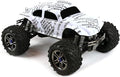 SummitLink Custom Body Compatible for 1/10 1/8 Scale RC Car or Truck (Truck not Included) (Joke)