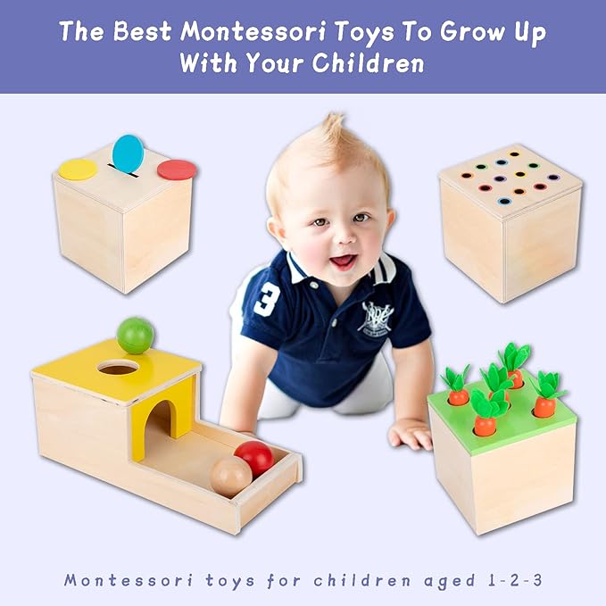 Adena Montessori 4 in 1 Wooden Play Kit Baby ToysObject Permanence BoxMatchstick Color Drop GameCarrot Harvest and Coin BoxBall Drop Toy for Kid 123 Year OldGirl Boy Gift for Baby 6-12 Month