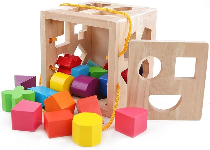 QZMTOY Shape Sorter Toys with 19 Shape Blocks Classic Wooden Toys for Toddlers Kids Gift for Girls Boys 2-4 (Natural Solid Wood)