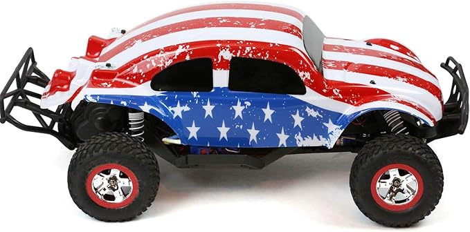 SummitLink Custom Body Flag Strip Style Compatible for 1/10 Scale RC Car or Truck (Truck not Included) SSB-FP-01