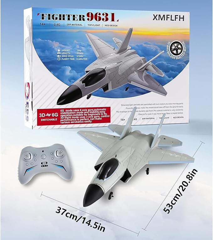 FX9631 4CH Outdoor Remote Control Airplane Brushless Single Duct Fixed Wing RC Aircraft Dual Battery Six-axis Gyro RC Plane Drone Easy to Fly Electric Gift for Beginners