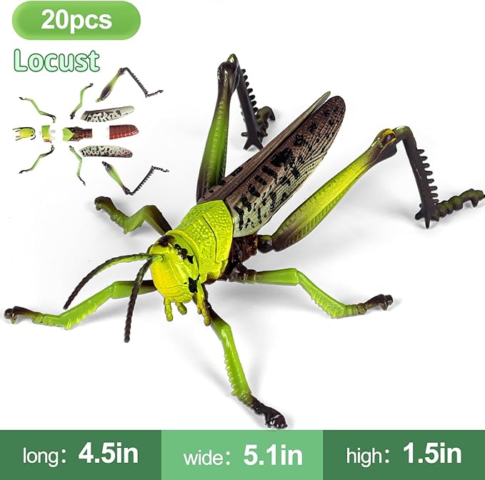 7Pcs Lifelike 3D Puzzles for Kids1:1 Replica Insect Building Toys for 5 6 7 8+ Year Old Boys GirlsSlot-Assembly Building BlocksBug Realistic Figures SetEducational Toys Ideal for ClassParty