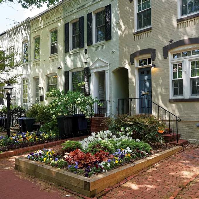 Georgetown DC Outdoor Escape Room | Real City Scavenger Hunt | Gifts for Adults &amp Families | 1-6 Players 2-3 Hours 1 Mile Walking Distance