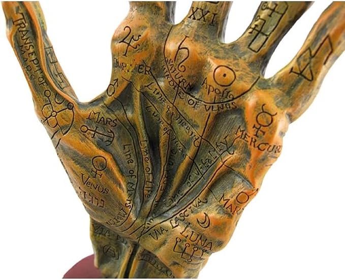 Alchemy Mummified Palmistry Hand Gothic