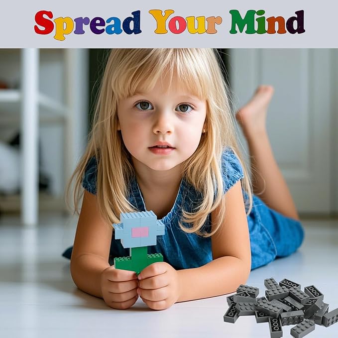 500 Piece Classic Building Bricks and 1 Gray Baseplate 2x4 Bricks Bulk Creative Building Toys Blocks Bulk for Kids Ages 6+ Dark Gray(Small Bricks 1.25x0.62x0.47 in)