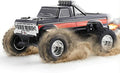 EAZYRC FMS 1/10 RC Truck Ford F-100 – 2WD Monster Truck with Licensed Body 550 Brushed Motor Oil Shocks Independent Suspension – All-Terrain RC Crawler High Speed Off-Road RC Car for Gift(Black)