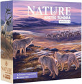 Northstar Game Studio Nature Board Game Expansion Module 4: Arctic Tundra | Adapt Species in a Changing Environment | Strategy Game for Adults Teens Families and Solo | 1-4 Players Age 10+