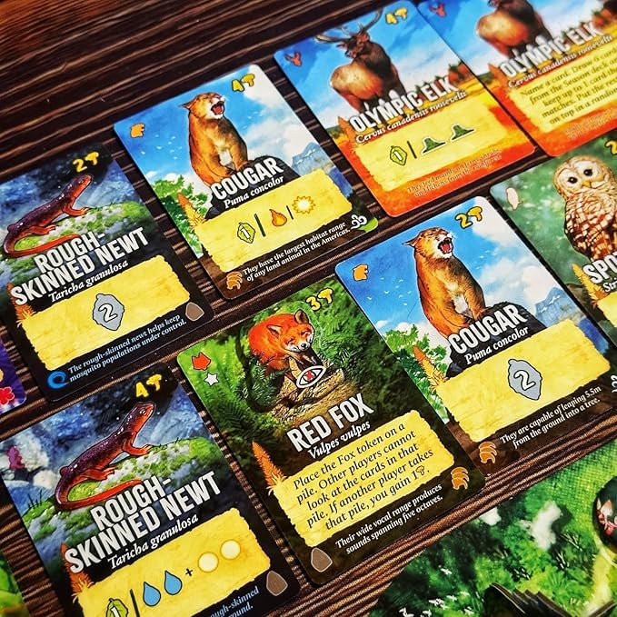 Canopy Evergreen - Strategy Board Game - for 1 to 4 Players and Ages 10+