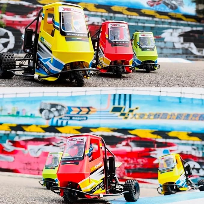 1/8 RC X-Rider Flamingos 2.4G 3WD 2 in 1 ESC High Speed Rc Car Electric Tricycle Motorcycle Tricycle RTR Drift Adult Vehicles Collection Model (Green)