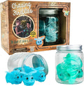 Toysmith Chasing Fireflies Kids Game - The Game of Shine &amp Seek - Interactive Games for Kids - Indoor &amp Outdoor Game - for Ages 3+ BlueGreen