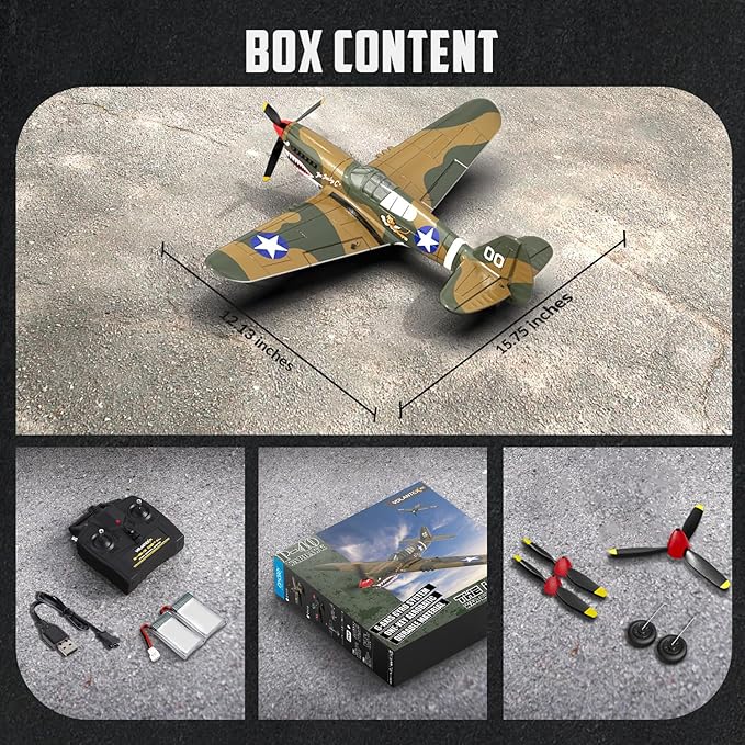 volantexrc RC Plane 4 Channel Remote Control Airplane Fighter P40 with Aileron 6-Axis Gyro Aerobatics for Adults