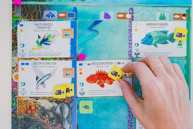 Stonemaier Games: Finspan - A Wingspan Game by David Gordon &amp Michael O’Connell | A Relaxing Strategy Board Game About Collecting Fish and Ocean Diving for Adults and Family | 1-5 Players 60 Mins