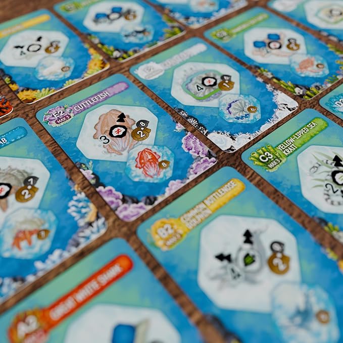 Shallow Sea Board Game – Strategy Tile-Placement Game for Adults &amp Families | 1–4 Players 30–45 Min Play | Build Coral Reef Ecosystem Ocean Puzzle Game Nature-Inspired (Nesting Season Expansion