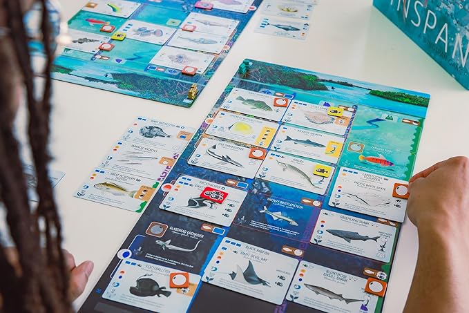 Stonemaier Games: Finspan - A Wingspan Game by David Gordon &amp Michael O’Connell | A Relaxing Strategy Board Game About Collecting Fish and Ocean Diving for Adults and Family | 1-5 Players 60 Mins