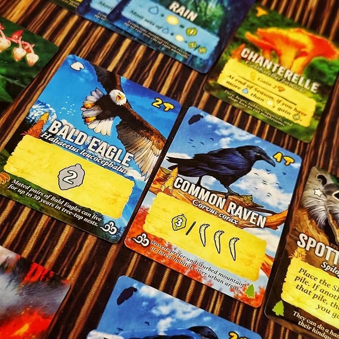 Canopy Evergreen - Strategy Board Game - for 1 to 4 Players and Ages 10+