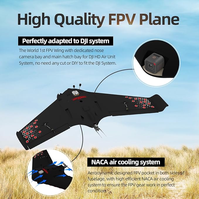 Buddy RC Sonic Modell AR Wing Pro Airplane FPV Plane with 1000MM Wingspan Easy Controlled Plane for Skilled Adults (PNP Version Black)