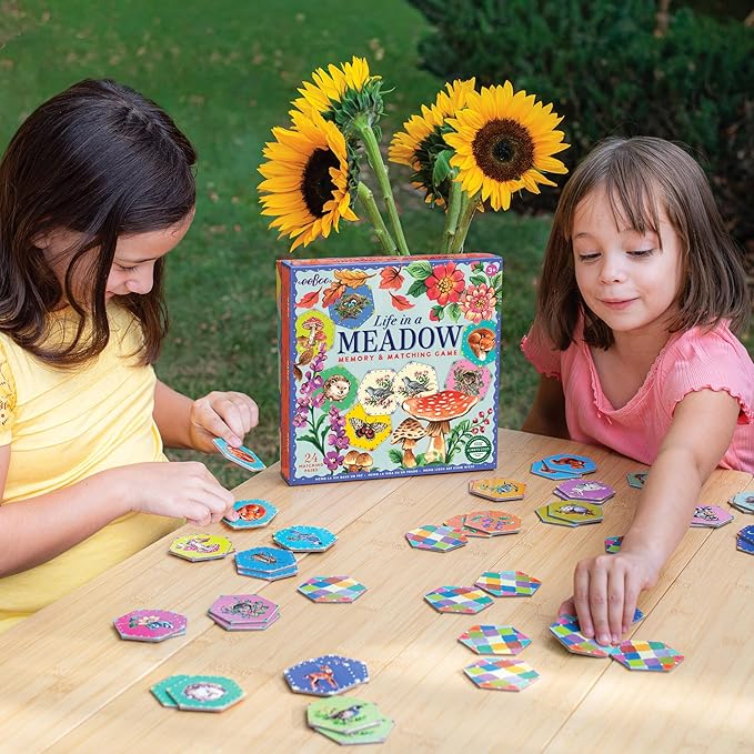 eeBoo: Memory and Matching Game - Life in a Meadow - 24 Pairs Develops Recognition Concentration Memory &amp Vocabulary Skills Age 3+