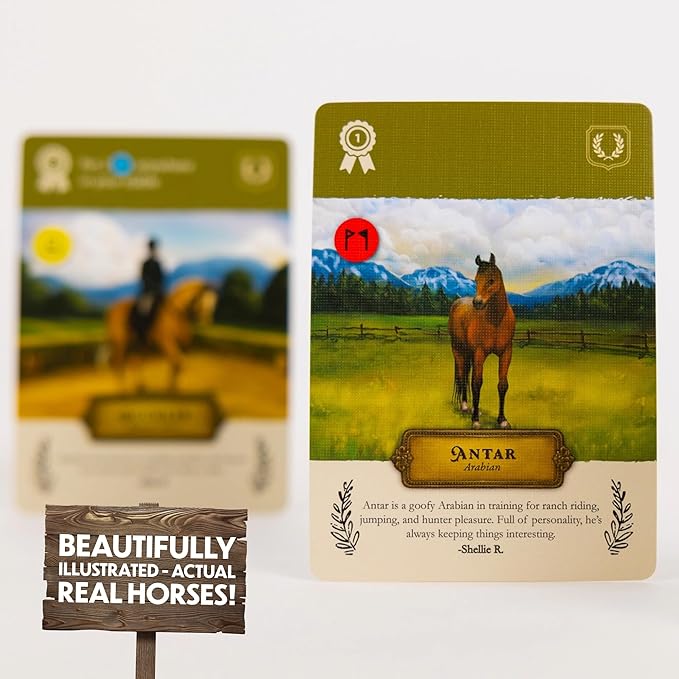 Stable Times Family Card Game - Cozy Board Game for Kids and Adults with Real Unique Horses - Great for Family Game Night Ages 8+ 1-5 Players 20-30 Minutes